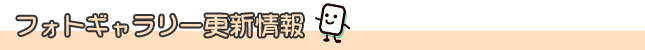フォトギャラリー更新情報