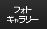 フォトギャラリー
