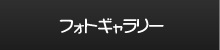 フォトギャラリー